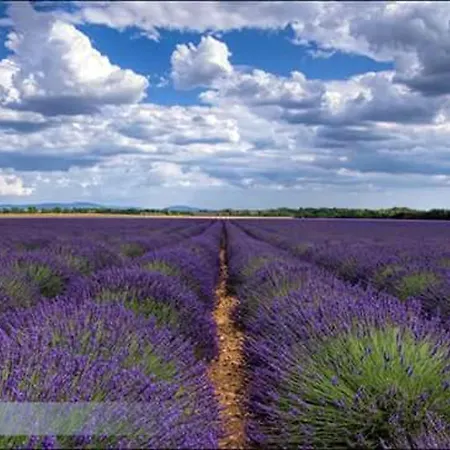 Hébergement de vacances Maison conviviale avec jardin à Revest-des-Brousses Galijasevici